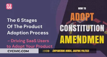 Adopting Amendments: A Guide to Constitutional Change