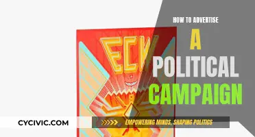 Political Campaign Advertising: Strategies for Success