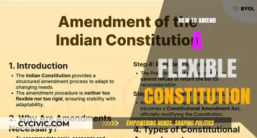 Amending a Flexible Constitution: Strategies for Success