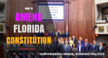 Amending Florida's Constitution: A Guide to the Process