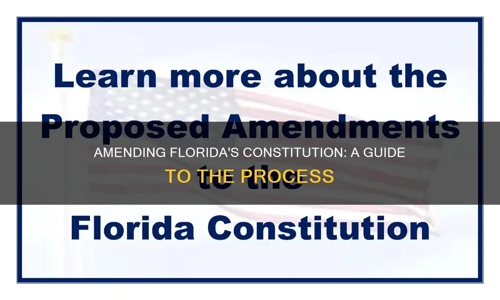how to amend florida constitution