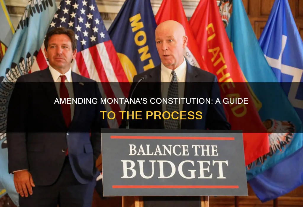 how to amend montana constitution