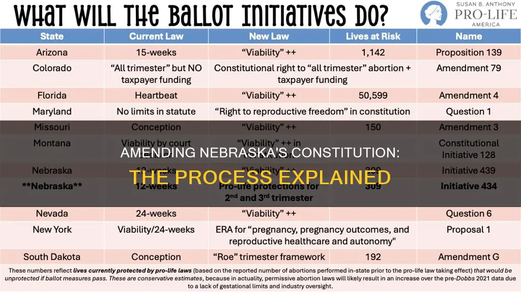 how to amend nebraska constitution