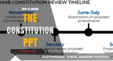 Amending the Constitution: A Step-by-Step Guide