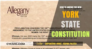 Amending New York's Constitution: A Guide to the Process