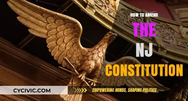 Amending New Jersey's Constitution: A Step-by-Step Guide