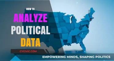 Mastering Political Data Analysis: Strategies, Tools, and Insights
