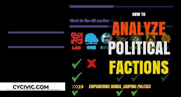 Decoding Political Factions: Strategies for Effective Analysis and Understanding