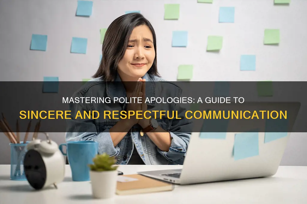 how to apologise politely