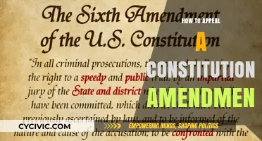 Challenging Constitutional Amendments: Your Right to Appeal