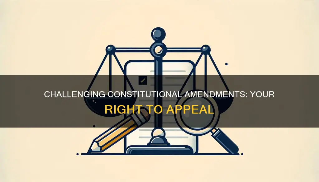 how to appeal a constitutional amendment