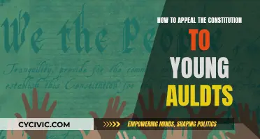 Engaging Young Adults in Constitutional Conversations