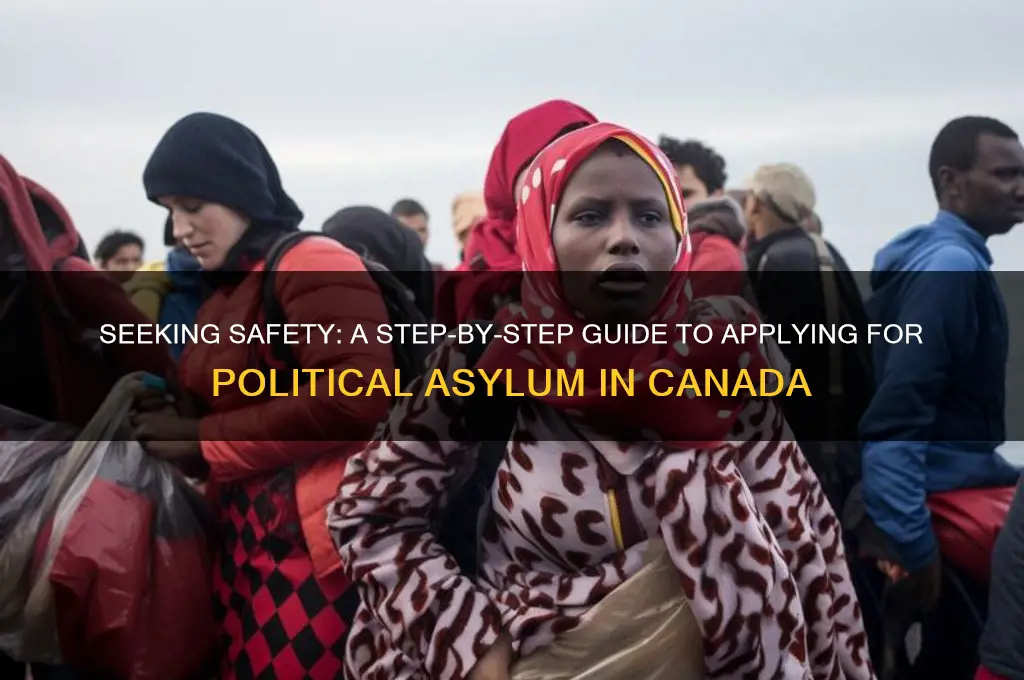 how to apply for political asylum canada