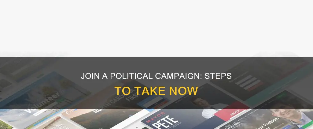 how to apply to work on a political campaign