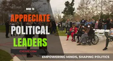 Understanding and Valuing Political Leaders: A Guide to Appreciation