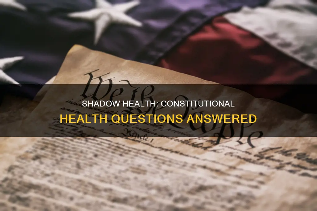how to ask about constitutional health shadow health