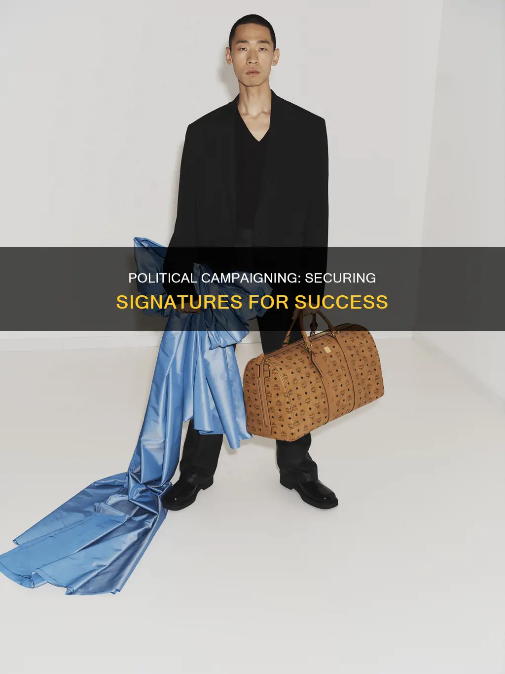 how to ask for signatures in a political campaign