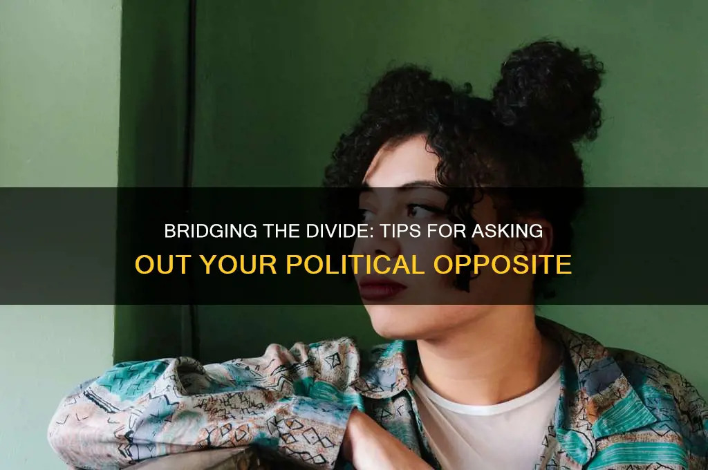 how to ask someone out og tye opposit political party