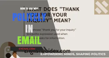 Mastering the Art of Polite Inquiry in Professional Emails