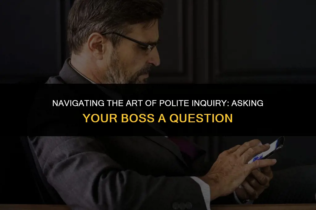 how to ask your boss a question politely
