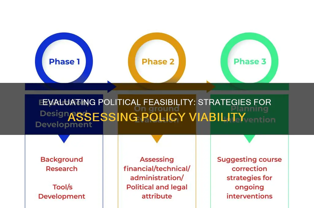 how to assess political feasibility