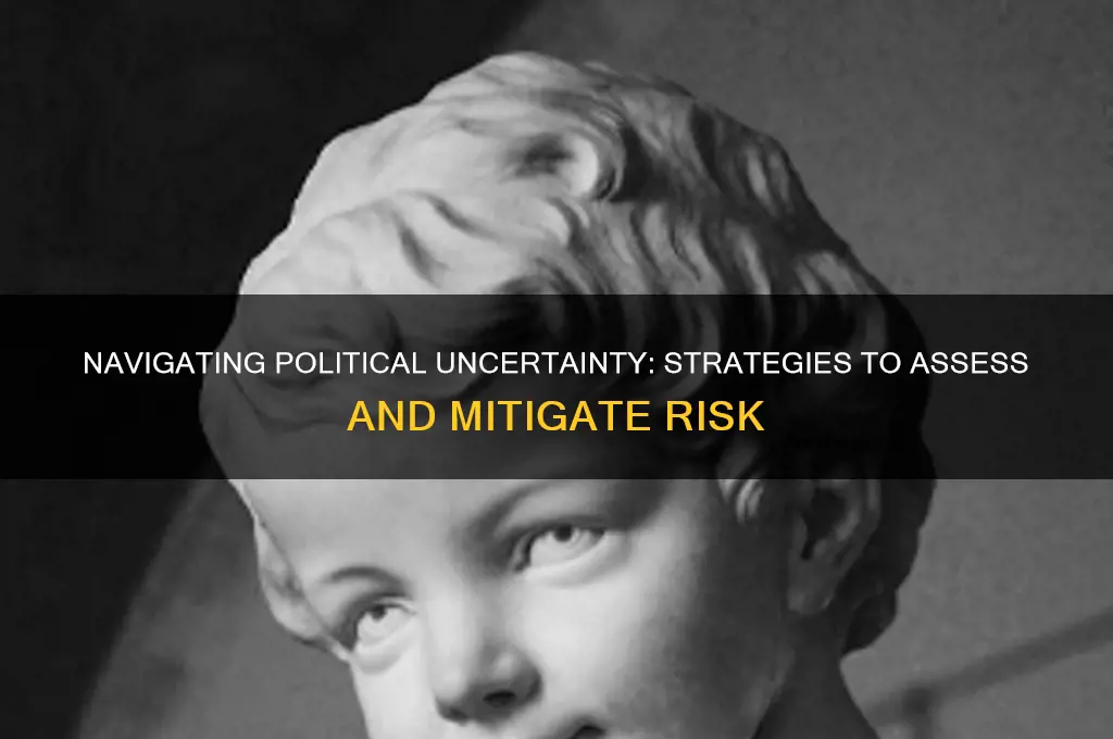 how to assess political risk