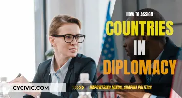 Strategizing Country Assignments: A Guide to Diplomacy
