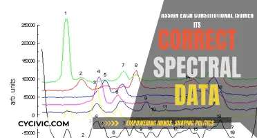 Mastering Isomer Spectral Data: A Guide