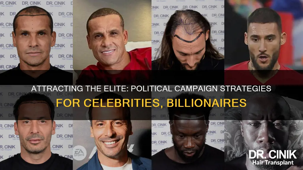how to attract celebrities and billionaires to a political campaign