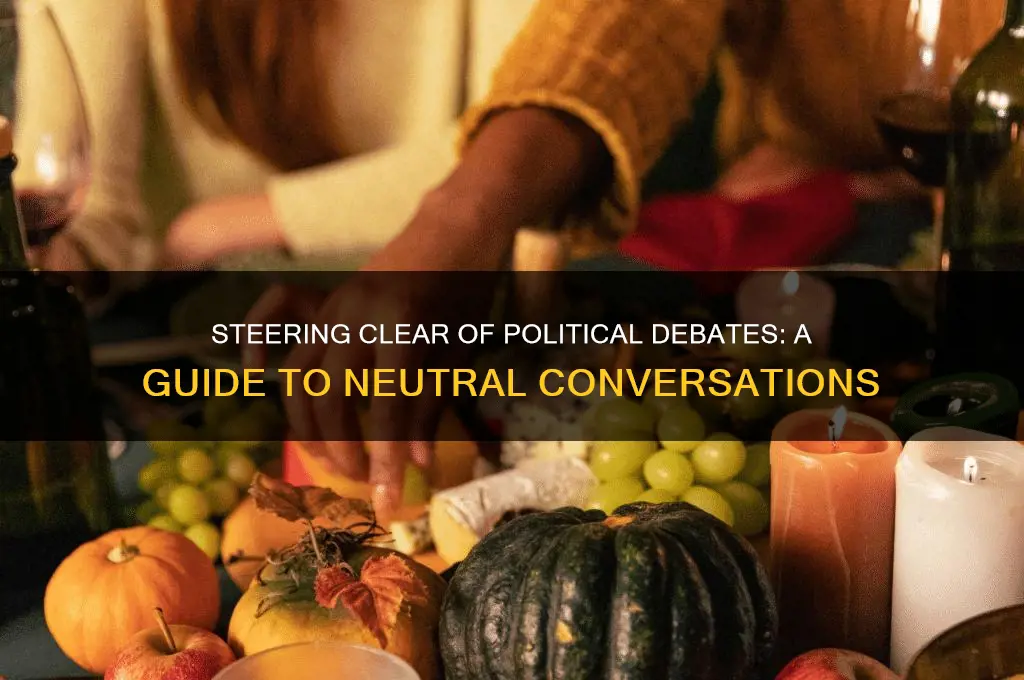 how to avoid discussing politics