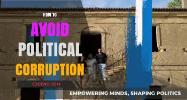 Combating Political Corruption: Strategies for Transparency and Accountability
