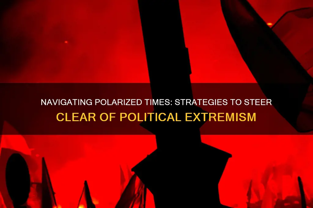 how to avoid political extremist