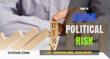 Mitigating Political Risk: Strategies for Global Business Stability