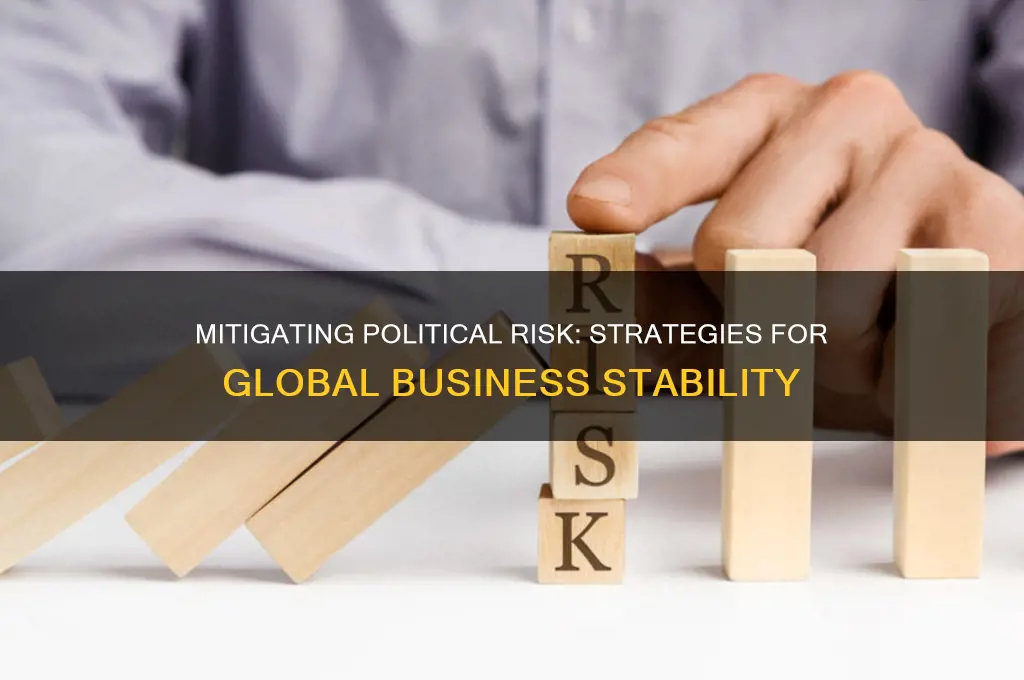 how to avoid political risk