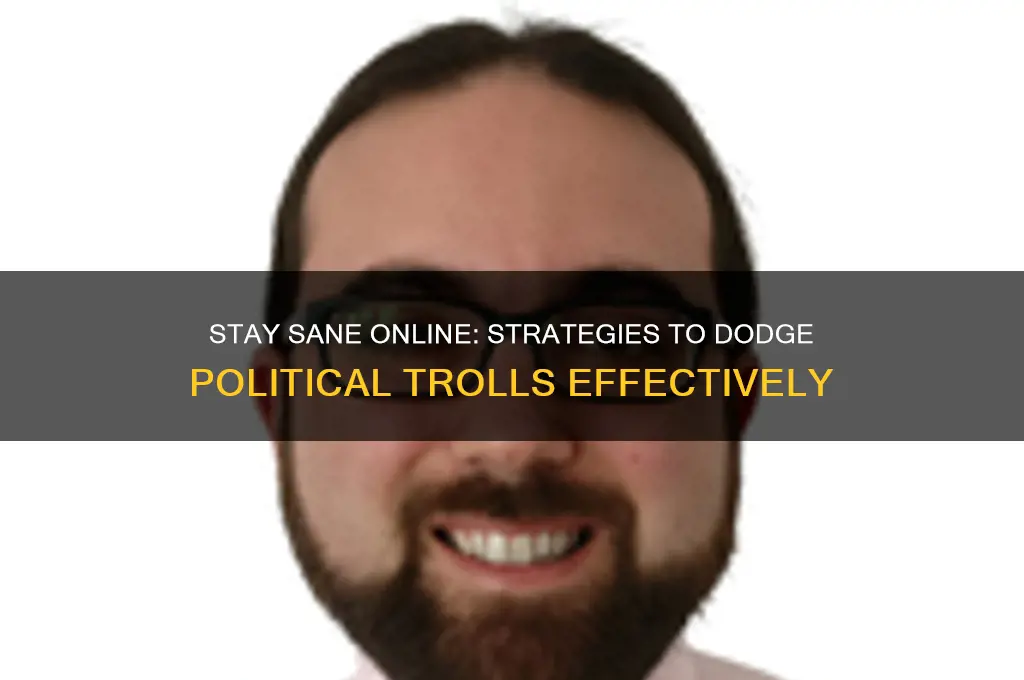 how to avoid political trolls