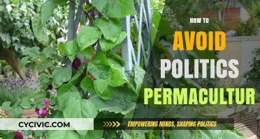 Steering Clear of Politics in Permaculture: A Practical Guide