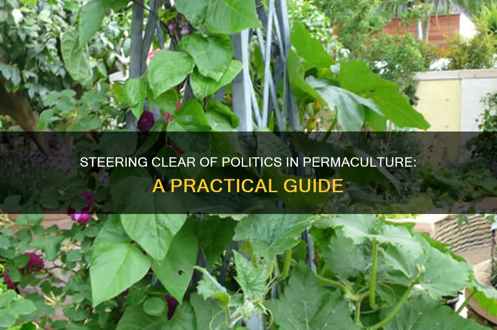 how to avoid politics permaculture