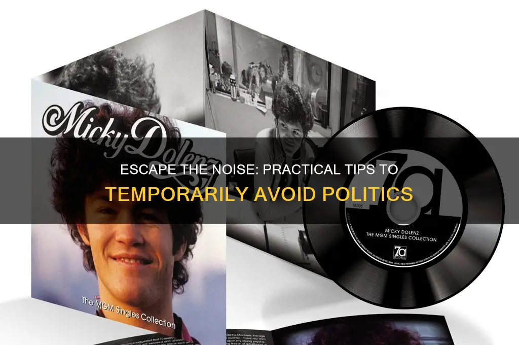 how to avoid politics temporarily