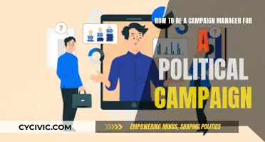 Campaign Manager: Strategies for Political Success