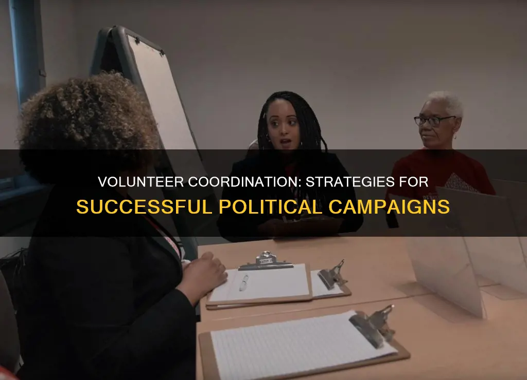 how to be a good volunteer coordinator political campaign