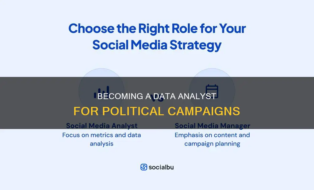 how to be a political campaign data analyst