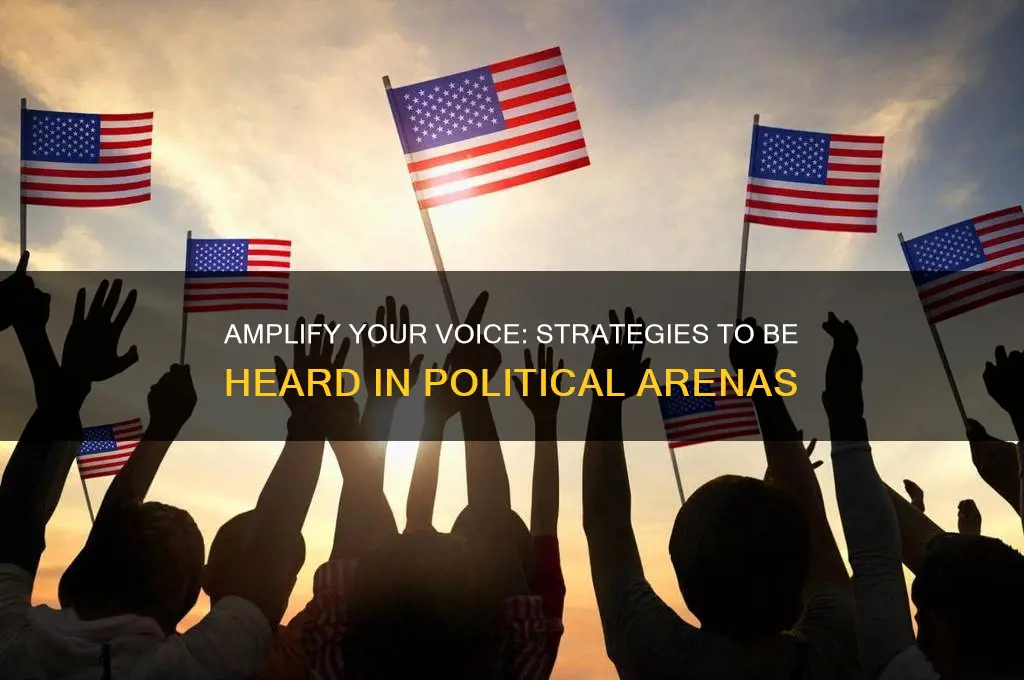 how to be heard politically