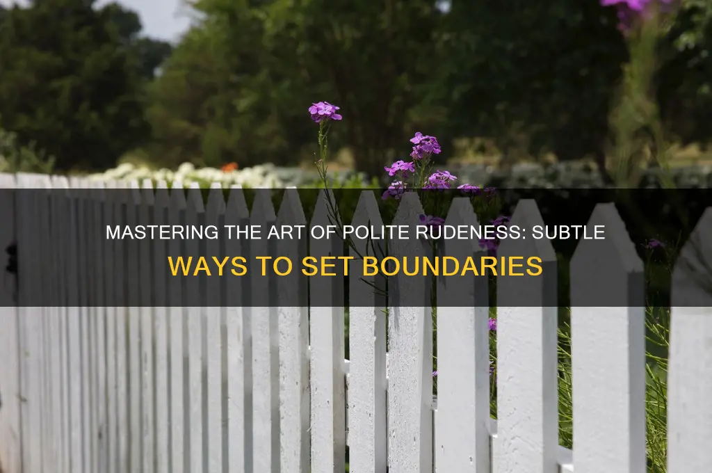 how to be politely rude