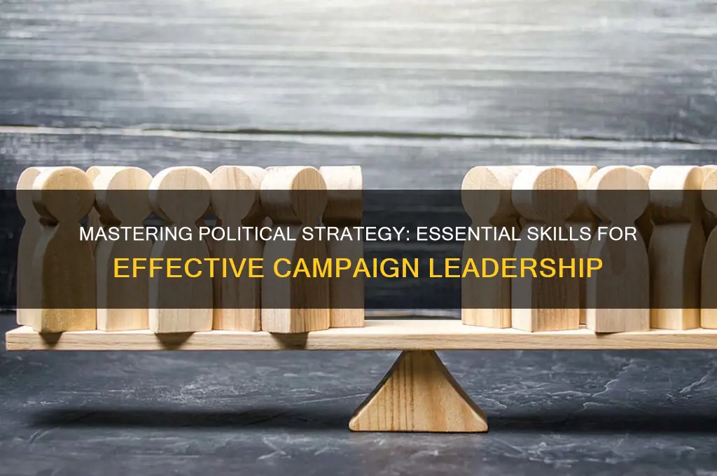 how to be political strategist