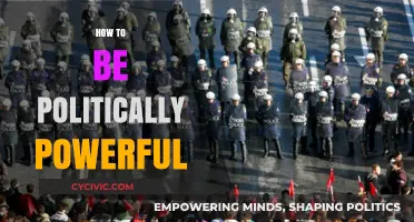 Mastering Political Influence: Strategies to Build and Wield Power Effectively