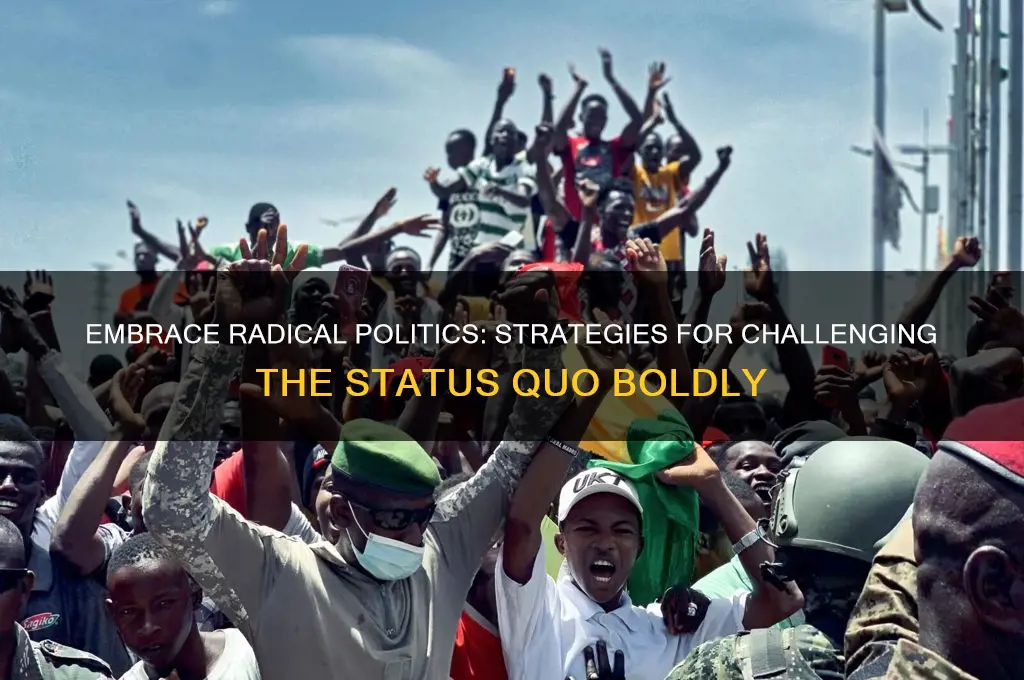 how to be politically radical