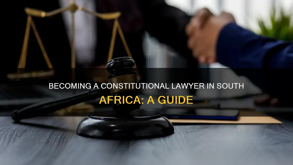 how to become a constitutional lawyer in south africa