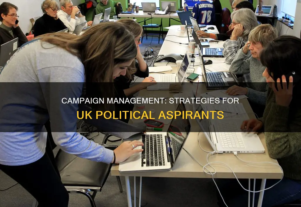 how to become a political campaign manager uk