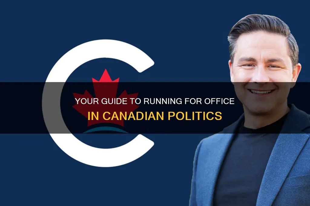 how to become a political candidate in canada