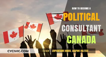 Mastering Political Consulting: A Comprehensive Guide for Canadians